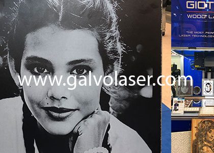 (Turkish) Galvo lazer resim baskı makinası